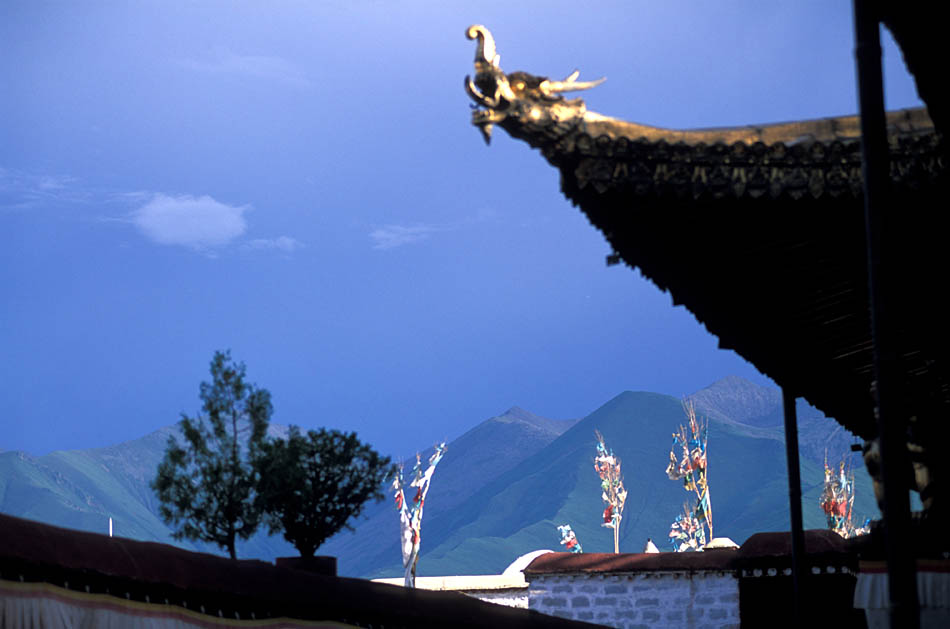 Album,Tibet,Lhasa,Jokhang,Temple,Roof,15,shafir,photo,image