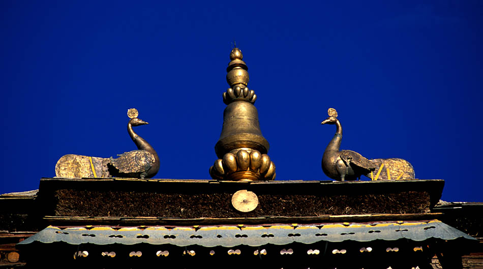 Album,Tibet,Sakya,Sakya,Monastery,7,shafir,photo,image