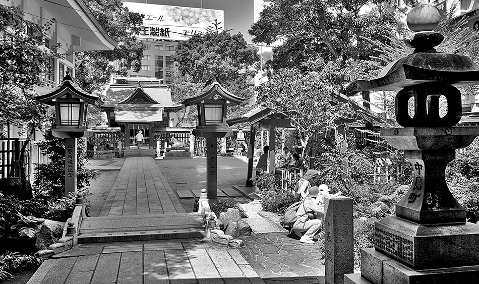 Album,Japan,Fukuoka,Shrine,1,shafir,photo,image