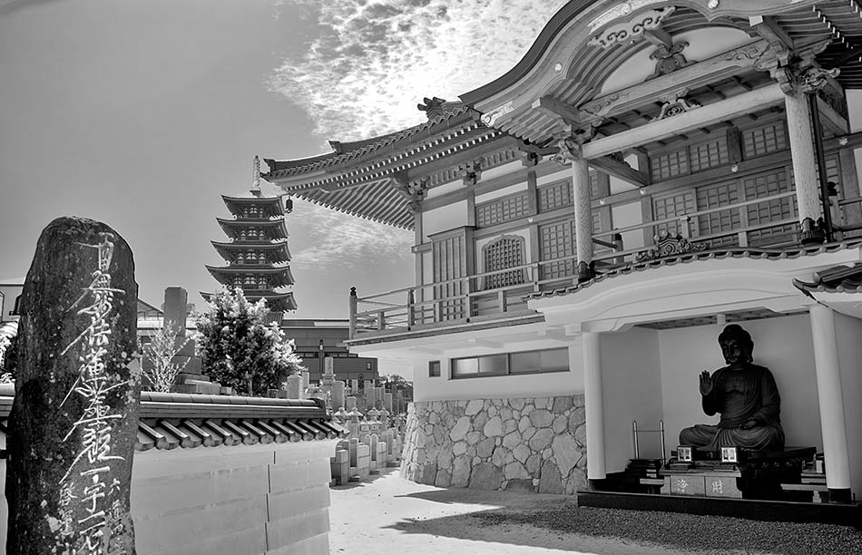 Album,Japan,Fukuoka,Temple,2,shafir,photo,image