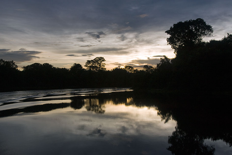 Album,Brazil,Pantanal,Pantanal,21,shafir,photo,image