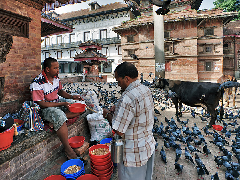Album,Nepal,Kathmandu,Streets,31,shafir,photo,image