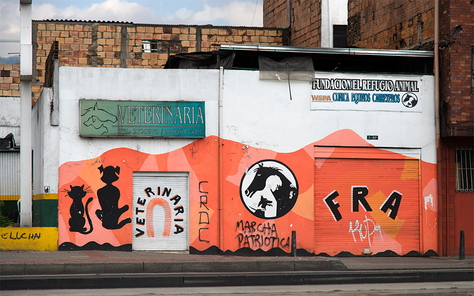 Album,Colombia,Bogota,Graffiti,Graffiti,194,shafir,photo,image