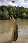 Album / Australia / Northern Territory / Jumping Crocodile Cruise / Jumping Crocodile Cruise 5