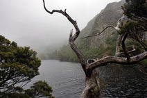 Album / Australia / Tasmania / Overland Track / Crater Lake 2