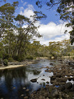 Album / Australia / Tasmania / Overland Track / Narcissus River