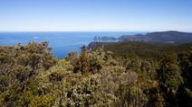 Album / Australia / Tasmania / Tasman Coastal Trail / Tatnells Hill 4