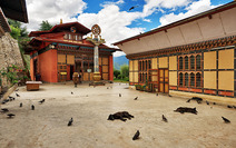 Album / Bhutan / Thimphu / Zilukha Nunnery 1