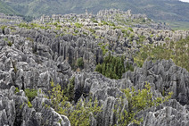 Album / China / Yunnan / Stone Forest / Stone Forest 25