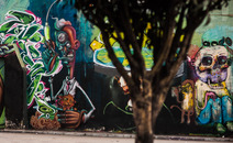 Album / Colombia / Bogota / Graffiti / Graffiti 208
