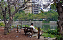 Album / Japan / Hiroshima / Peace Memorial Park 3