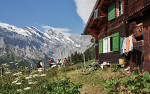 Album / Switzerland / Alpine Pass Route / Murren 3