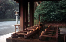 Journal / Japan / Tokyo / Meiji Shrine / Purification fountain