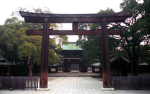 Journal / Japan / Tokyo / Meiji Shrine / Torii