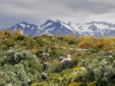 Argentina — Ushuaia — landscape