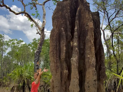 Australia — Kakadu — landscape