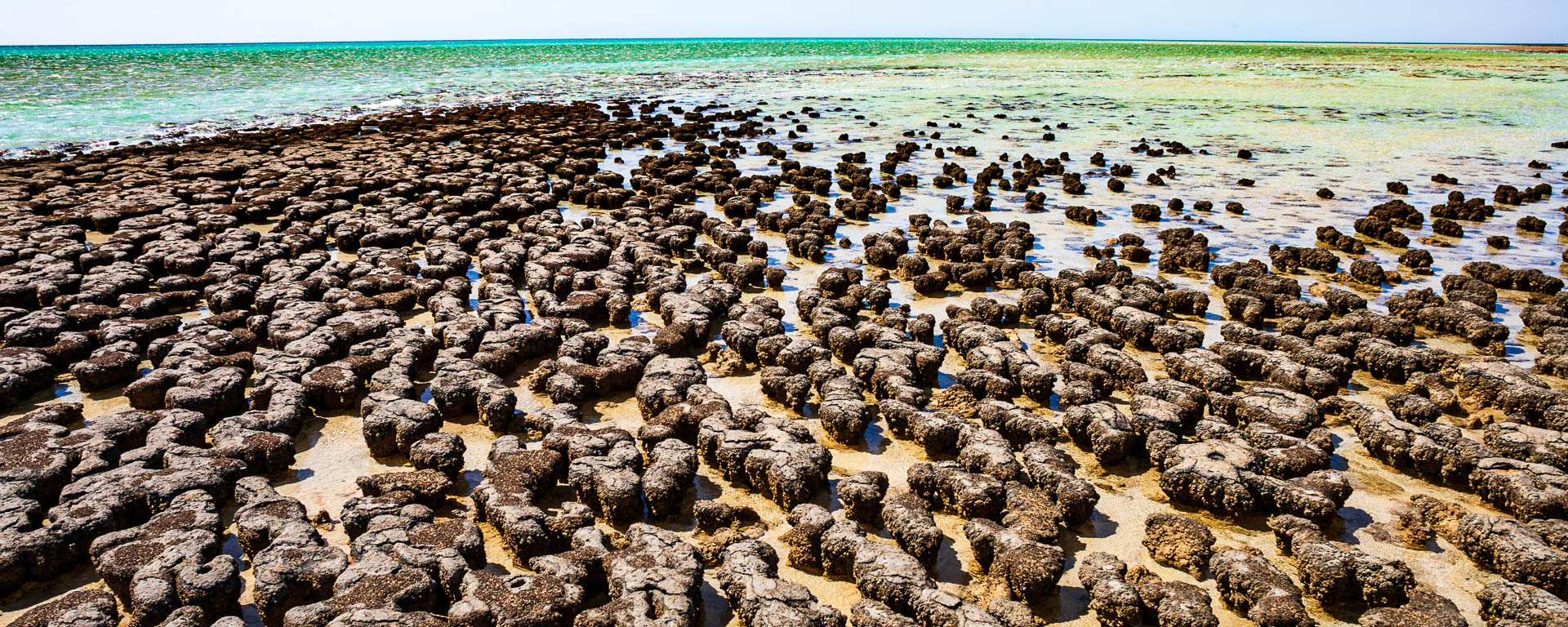 Australia — Western Australia, Shark Bay (Hamelin Pool) — landscape