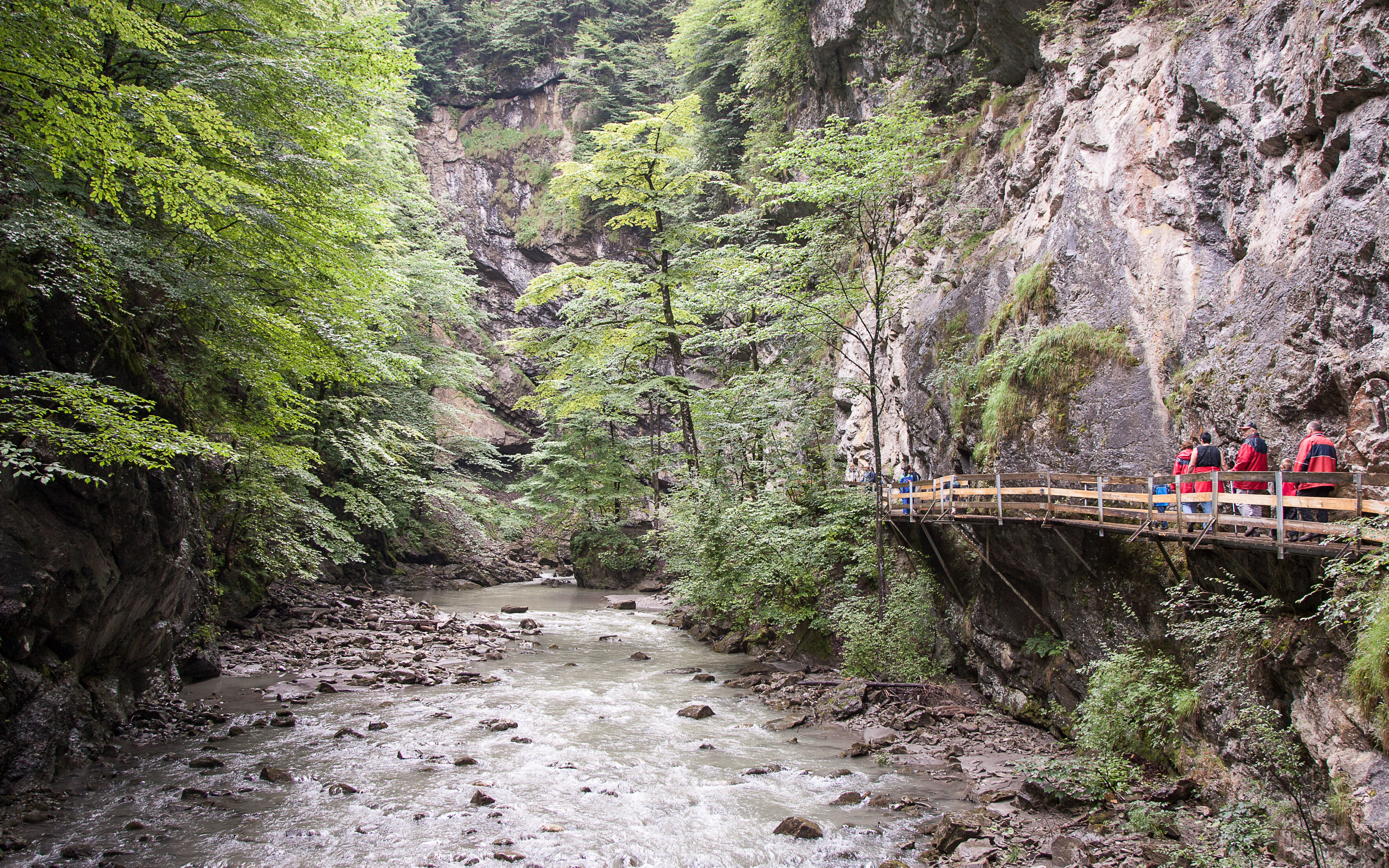 Austria — Vorarlberg, Dornbirn — landscape