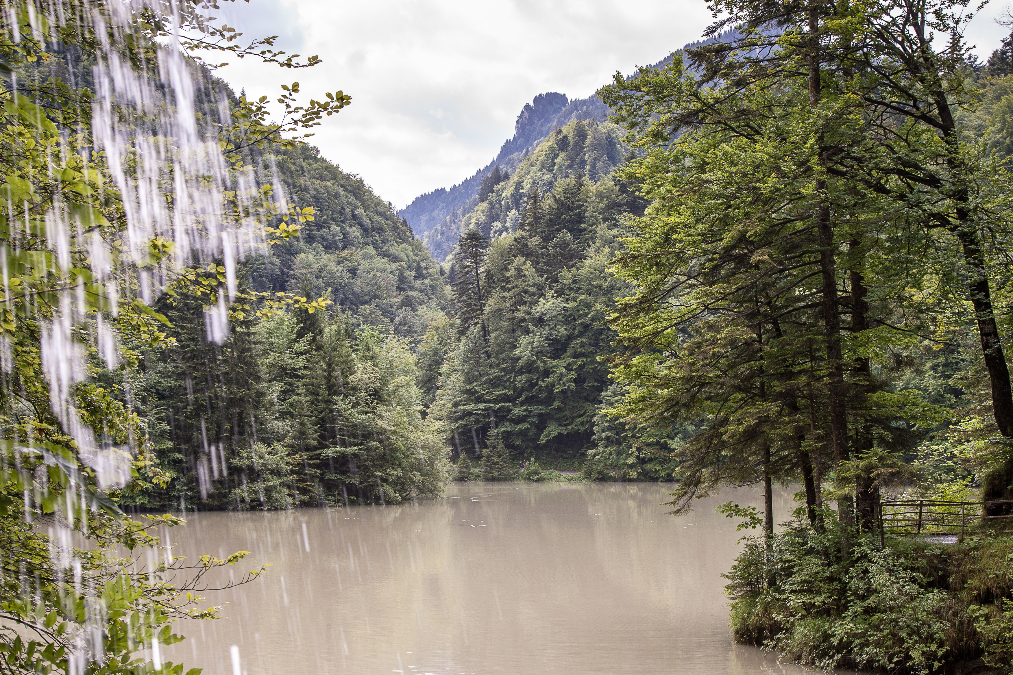 Austria — Vorarlberg, Dornbirn — landscape