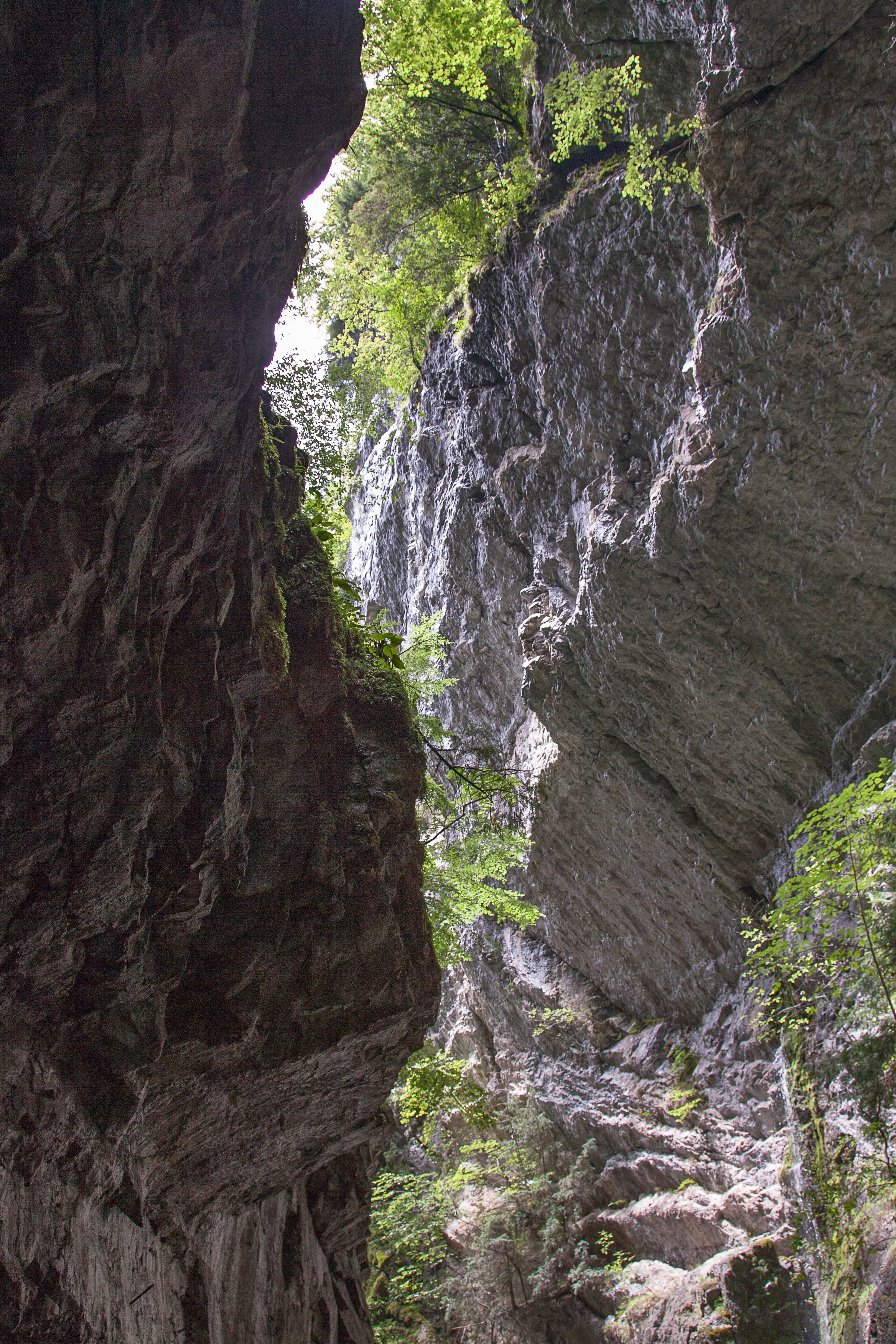 Austria — Vorarlberg, Dornbirn — landscape