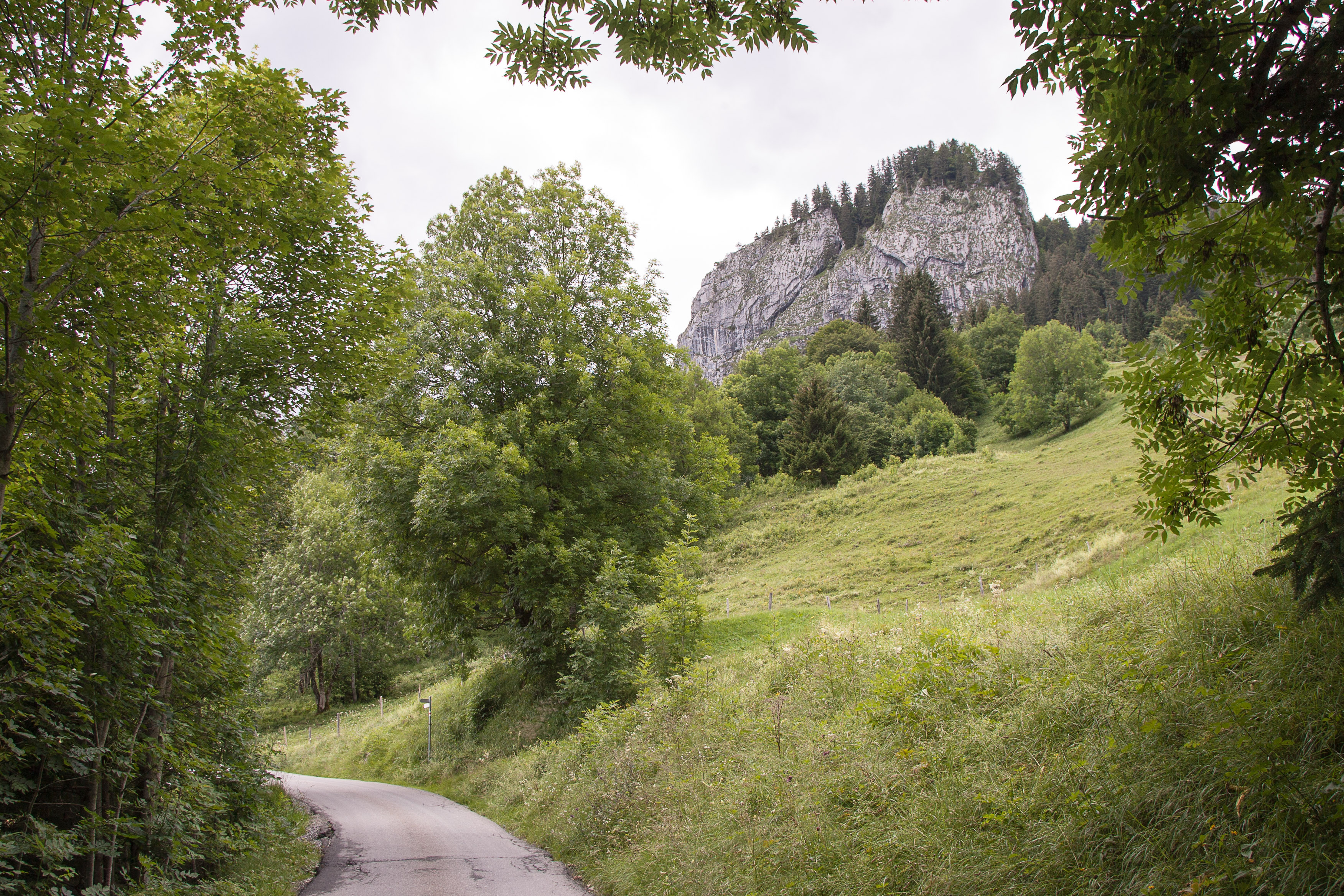 Austria — Vorarlberg, Dornbirn — landscape