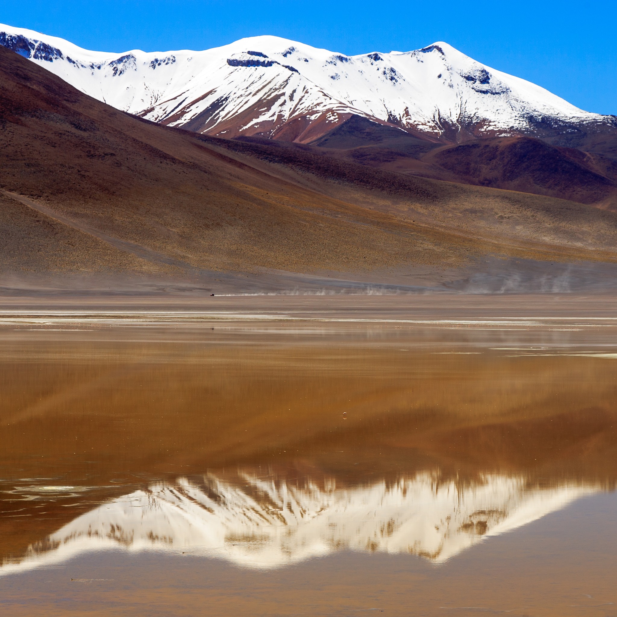 Bolivia — Potosí Department, Altiplano / Laguna Colorada area — landscape