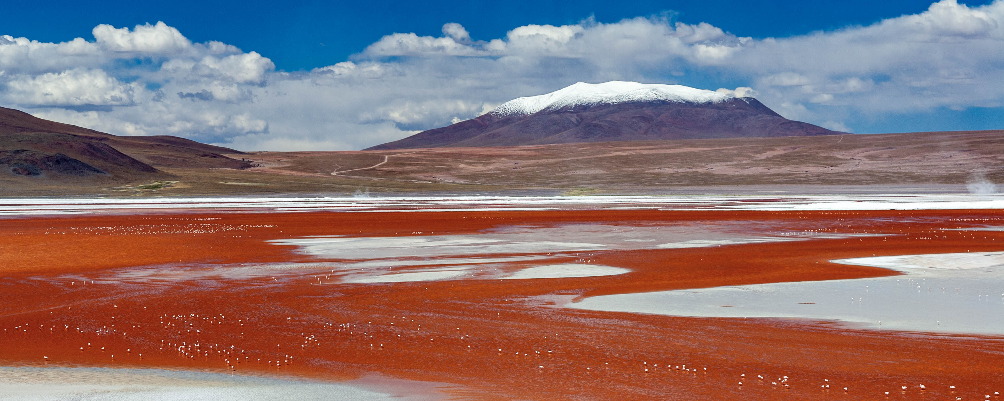 Bolivia — Potosí Department, Sur Lípez Province — landscape