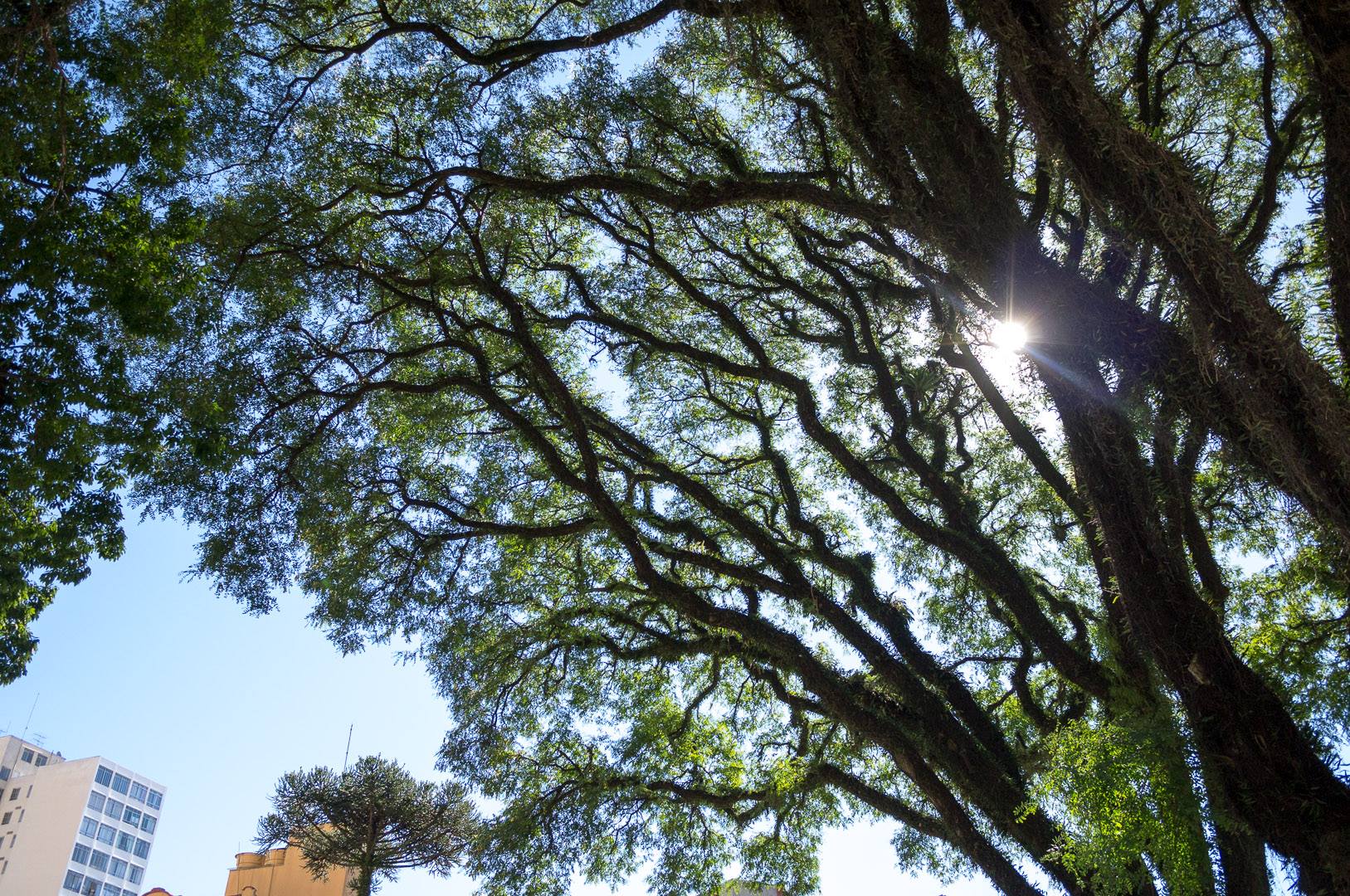 Brazil — Paraná, Curitiba — landscape