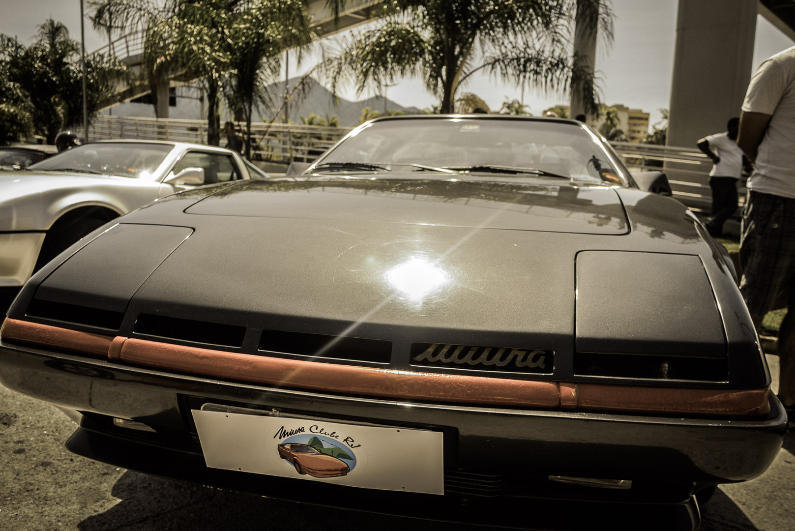 Brazil — Rio de Janeiro, Barra da Tijuca — other