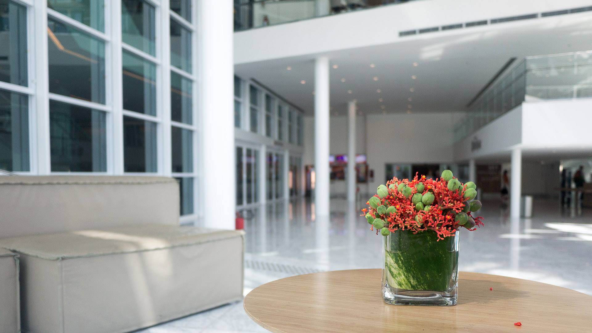 Brazil — Rio de Janeiro — architecture