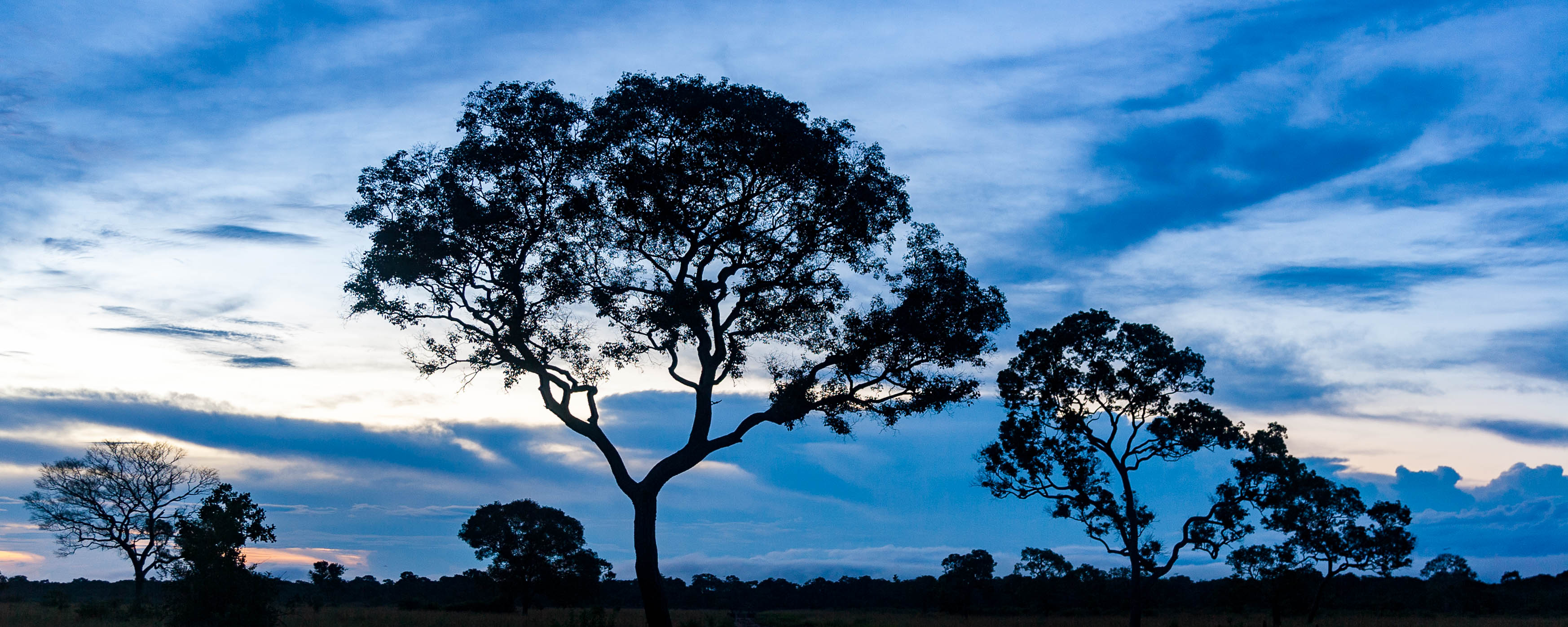 Brazil — Cerrado, Central Brazil (likely Mato Grosso or Goiás) — landscape