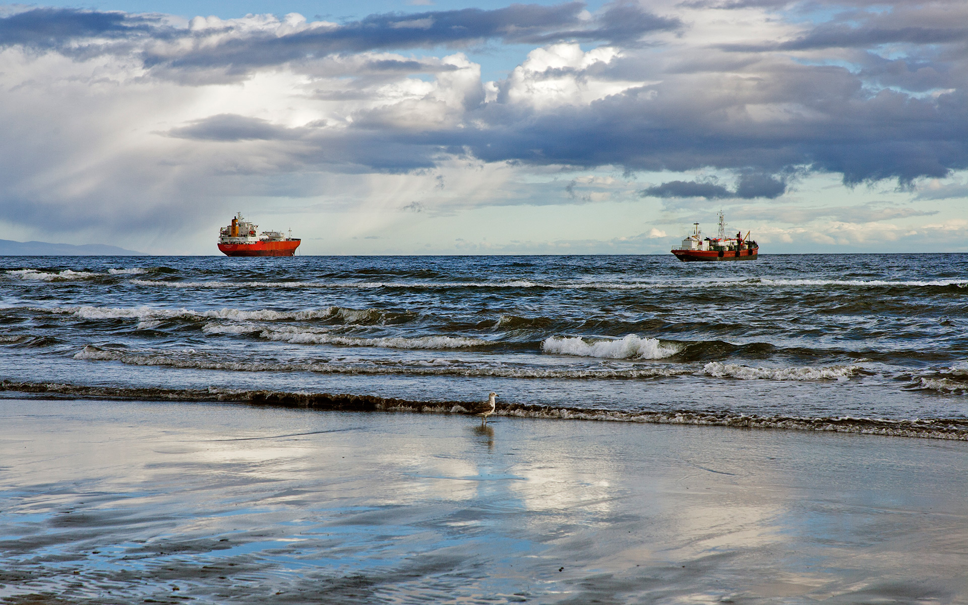 Chile — Magallanes Region, Strait of Magellan area (likely near Punta Arenas) — landscape
