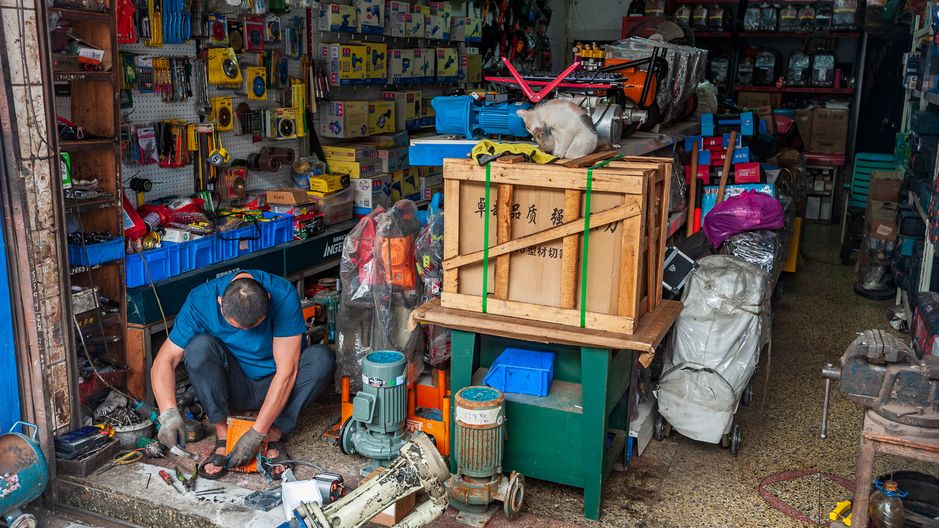 China — Dongguan, Guangdong Province — urban