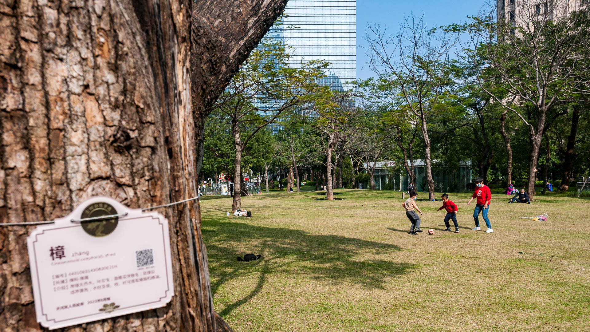 China — Guangzhou — urban