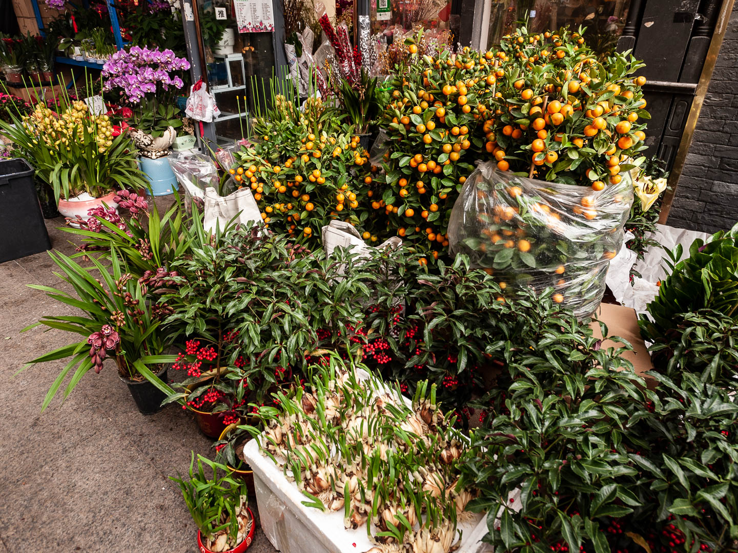 China — Guangzhou, Guangdong — urban