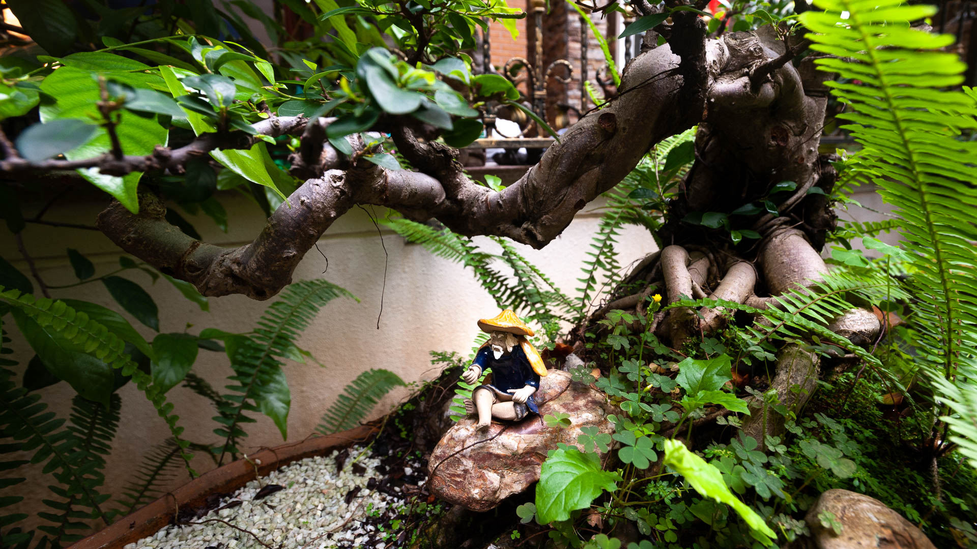 China — Guangdong, Guangzhou — other