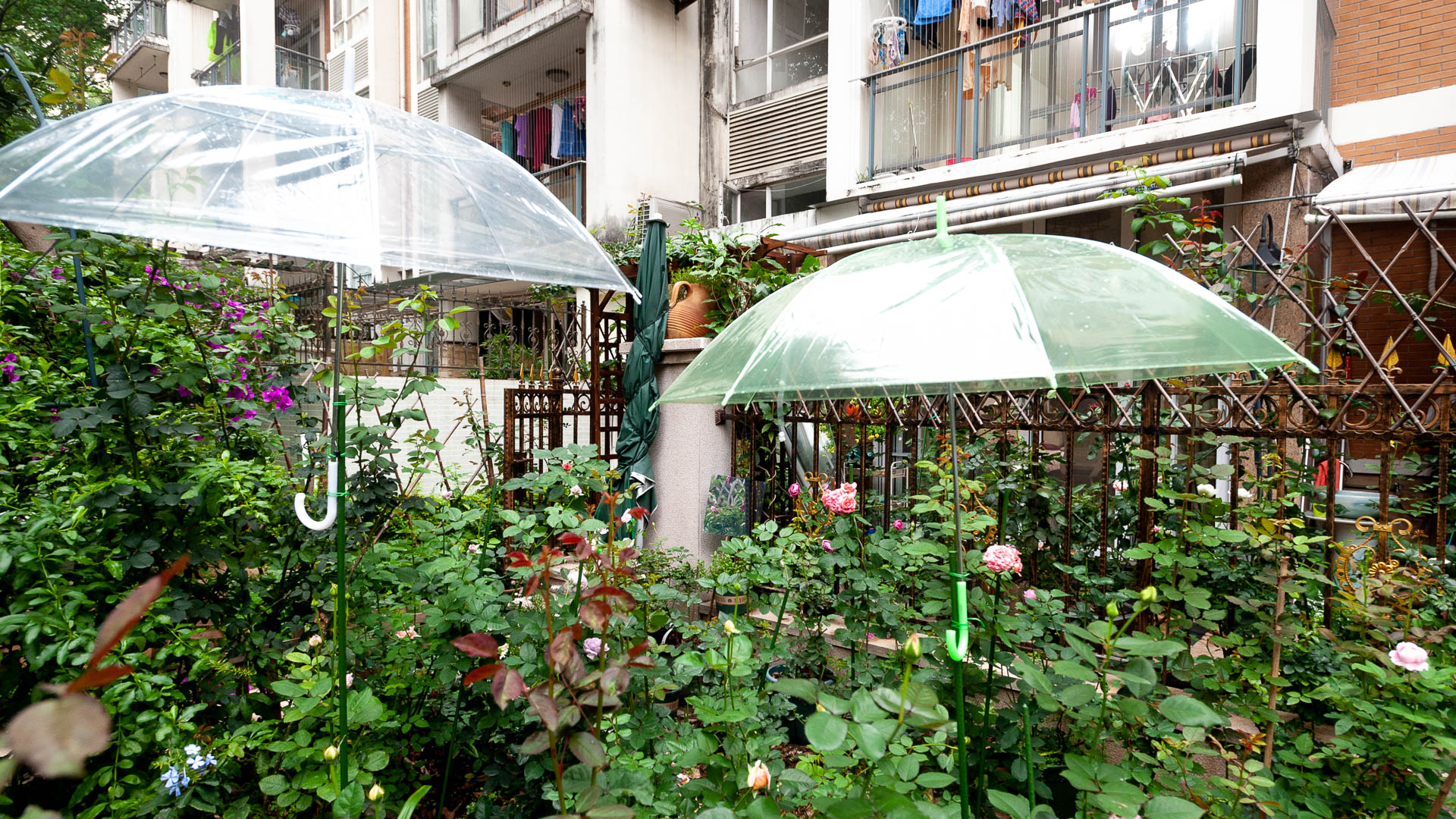 China — Guangdong, Guangzhou — urban