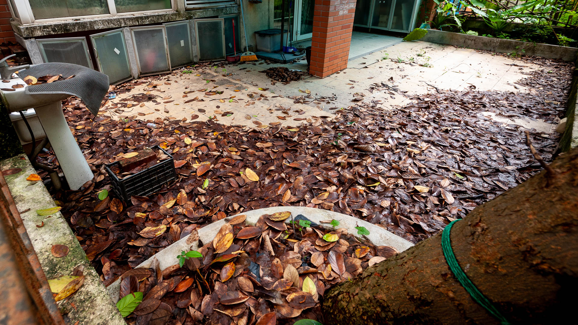 China — Guangdong, Guangzhou — architecture