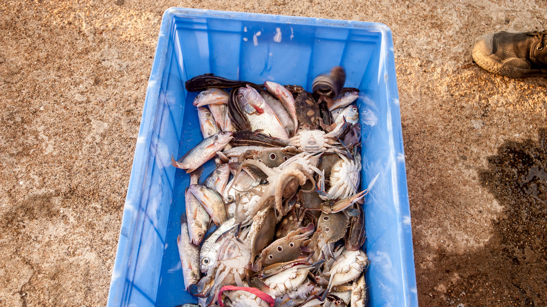 China — Guangdong, Huizhou — other