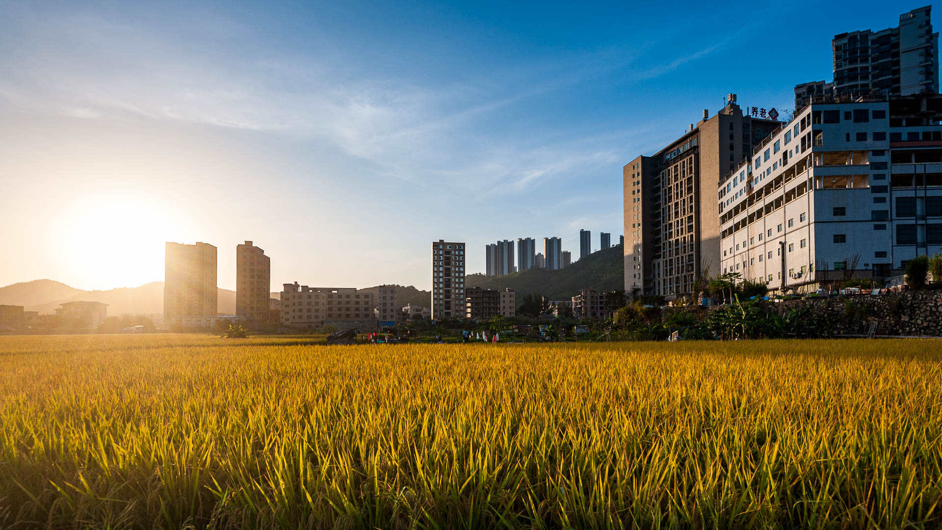 China — Guangdong, Huizhou — landscape
