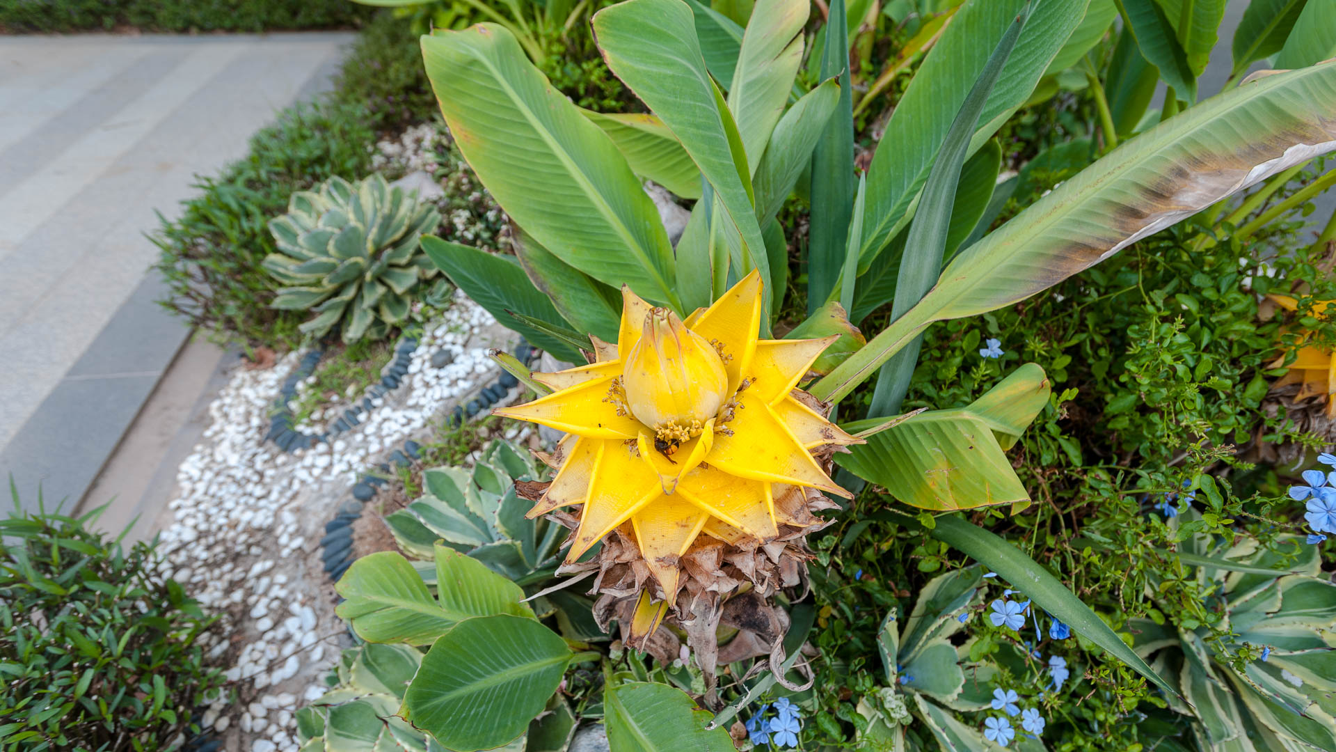 China — Guangdong, Huizhou — macro