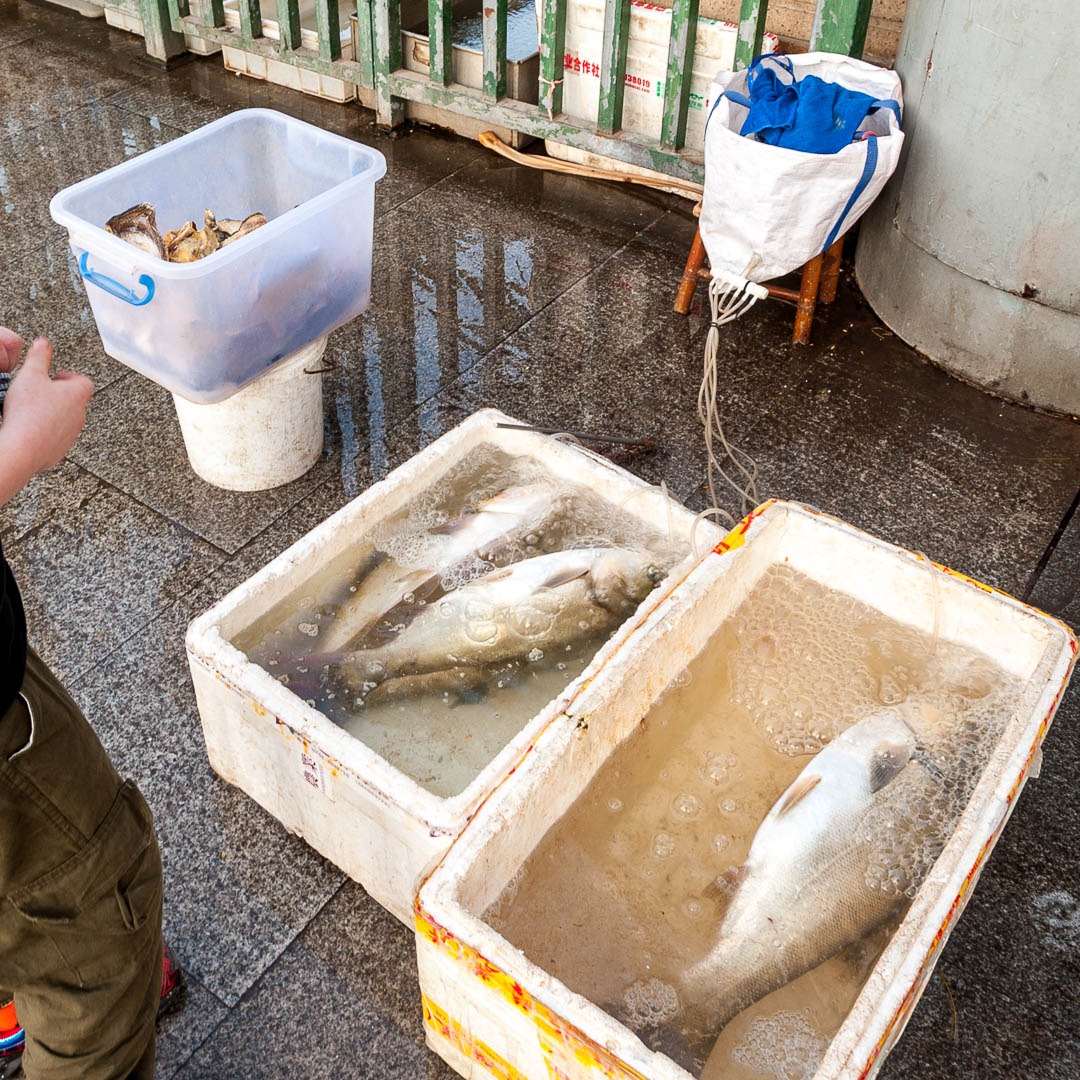 China — Guangdong, Huizhou — other