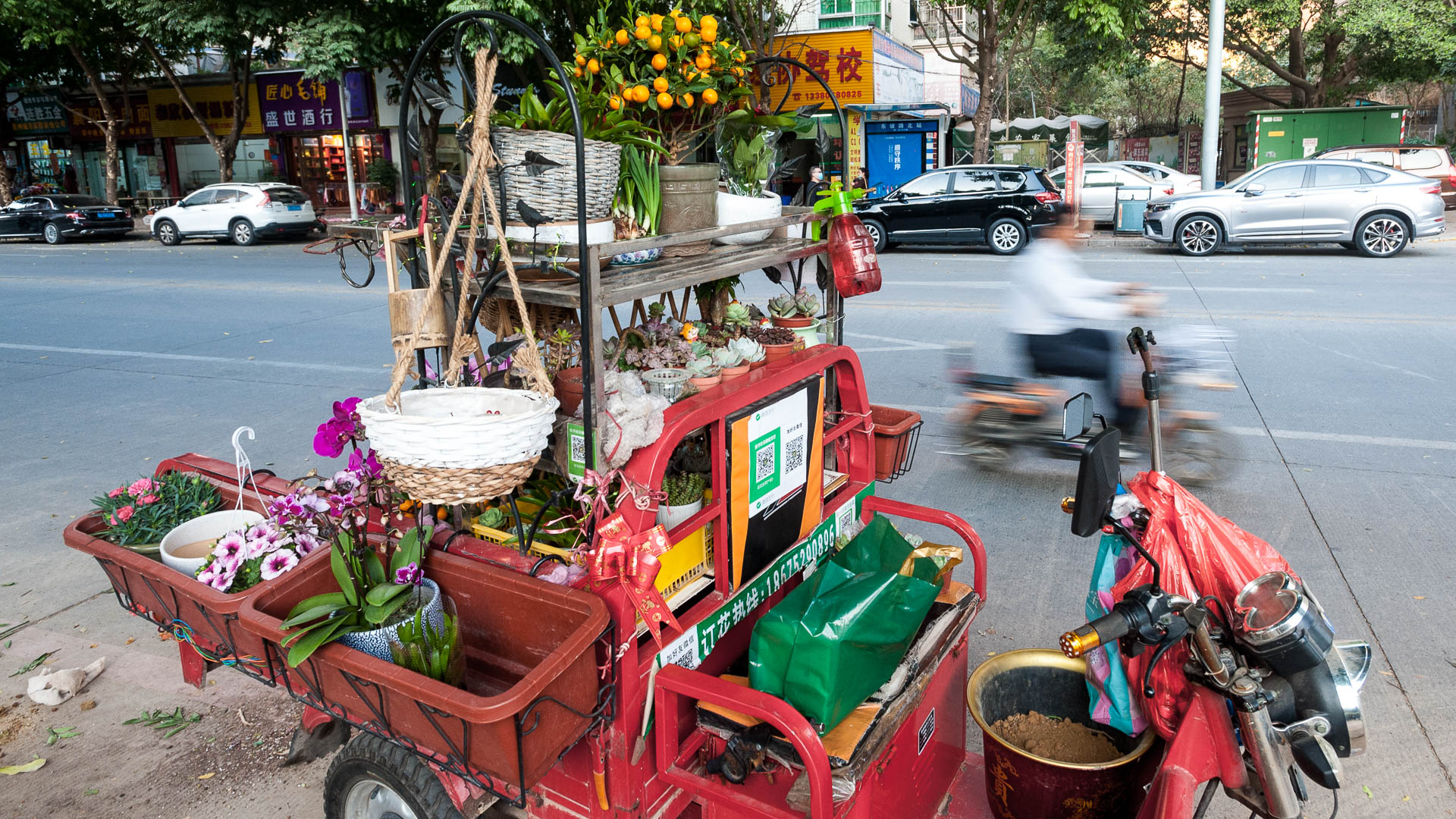 China — Guangdong, Huizhou — urban
