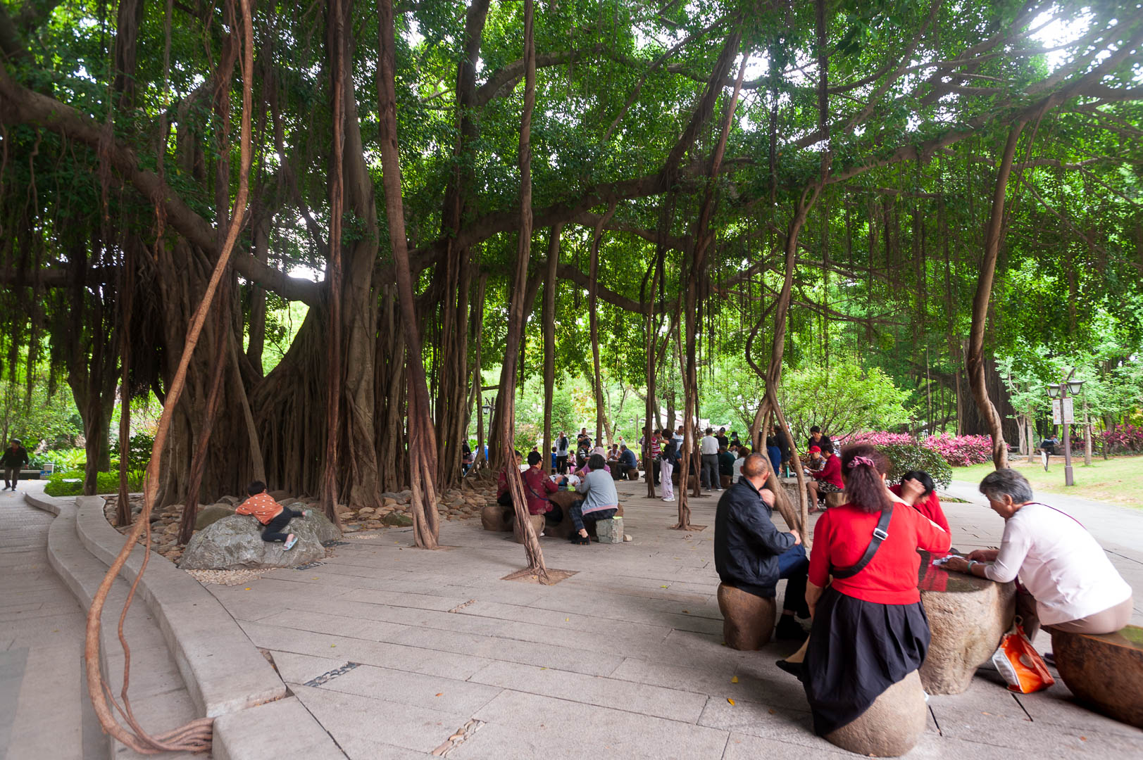 China — Zhejiang, Linhai — urban