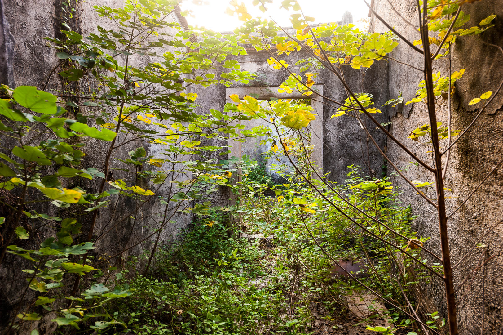 China — Shantou, Guangdong Province — urban