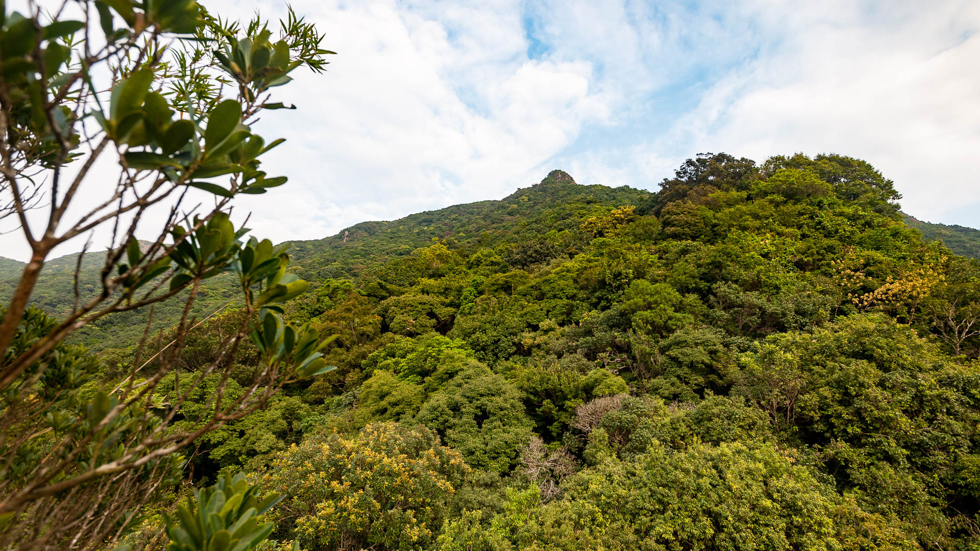 China — Guangdong, Shenzhen — landscape