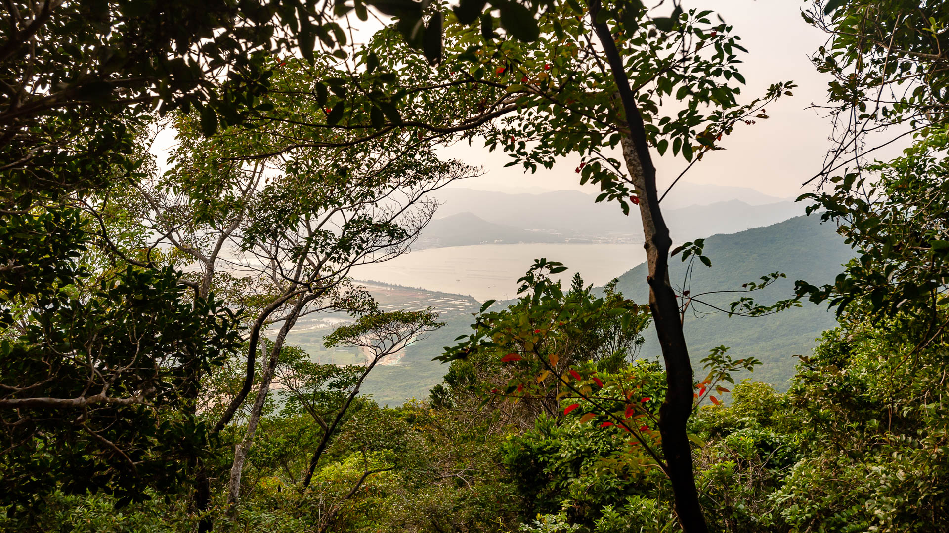 China — Guangdong, Shenzhen Dayawan — landscape