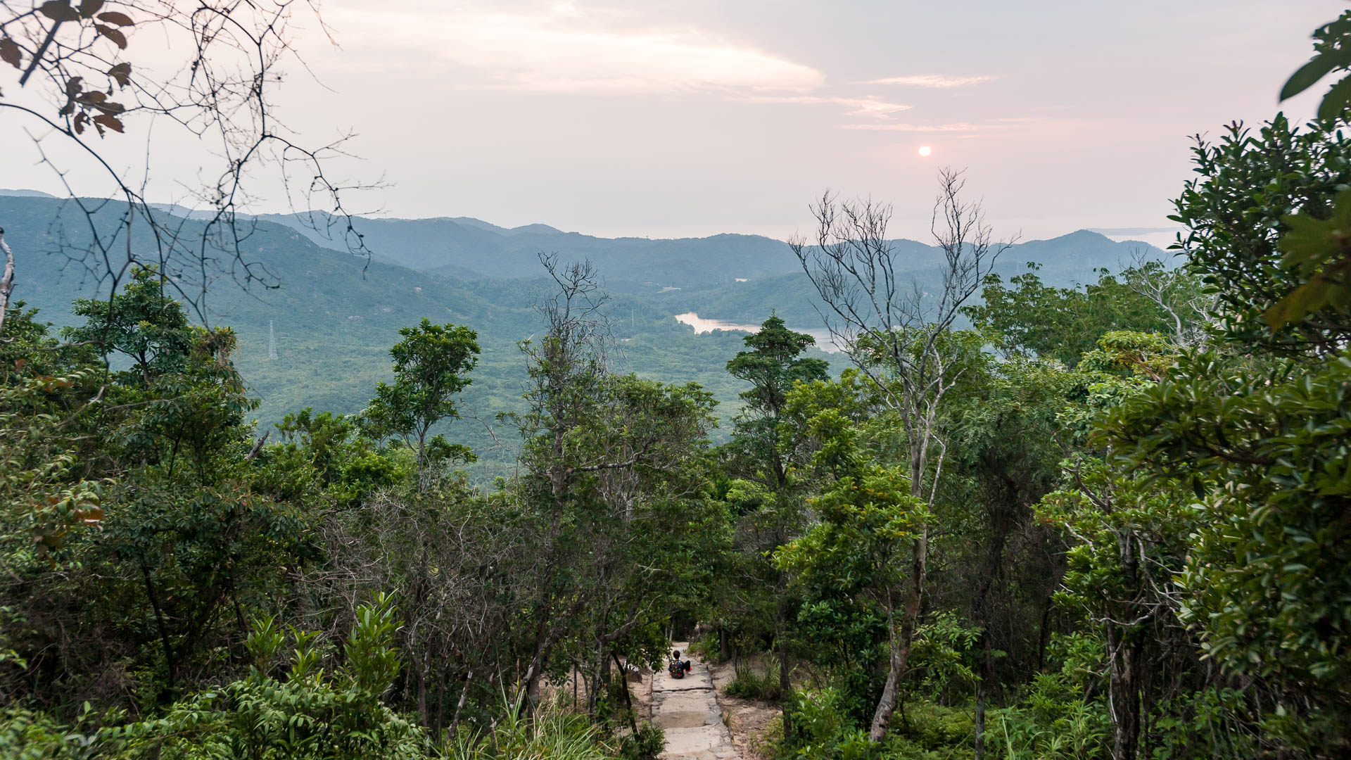 China — Guangdong, Shenzhen, Dayawan — landscape