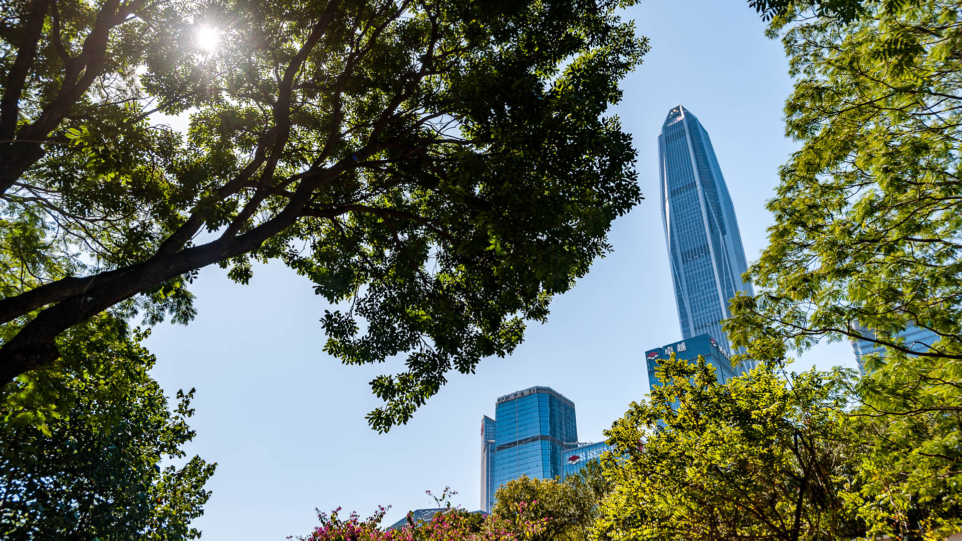 China — Shenzhen — architecture