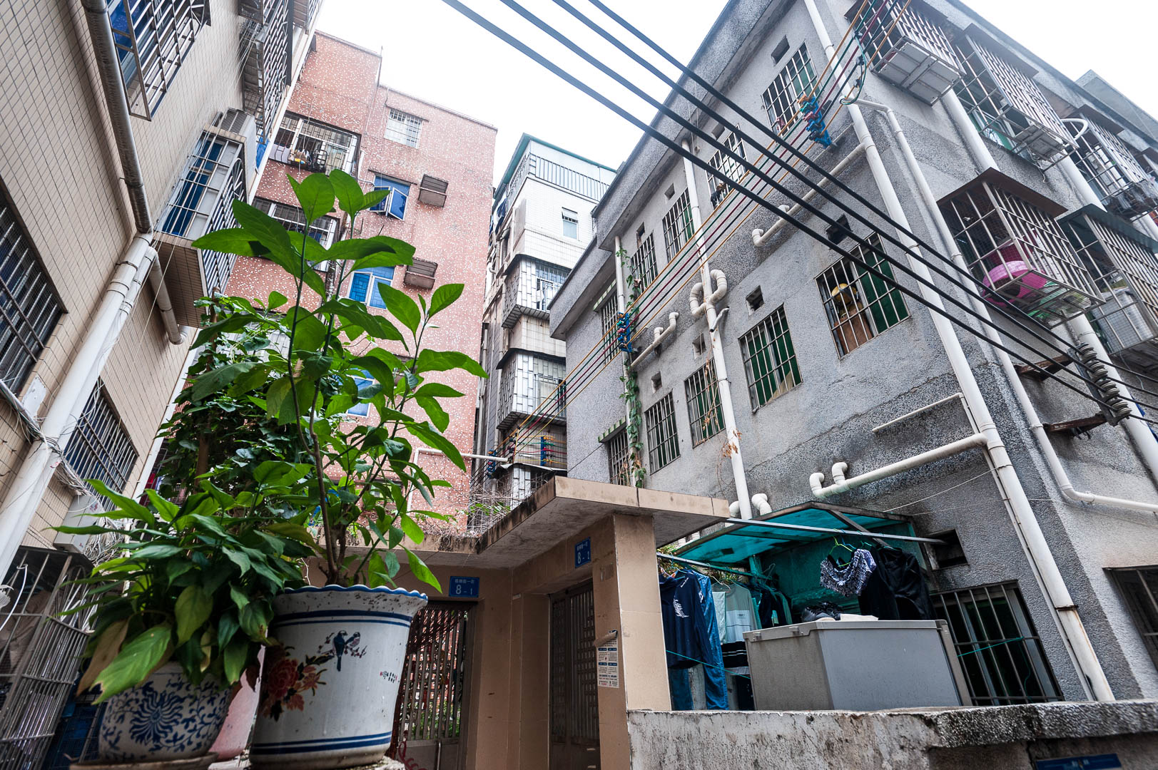 China — Guangdong, Shenzhen — urban